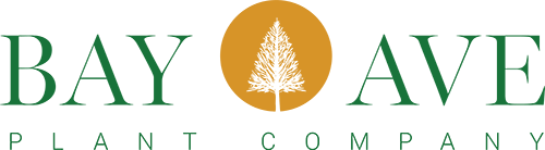 bay ave plant co